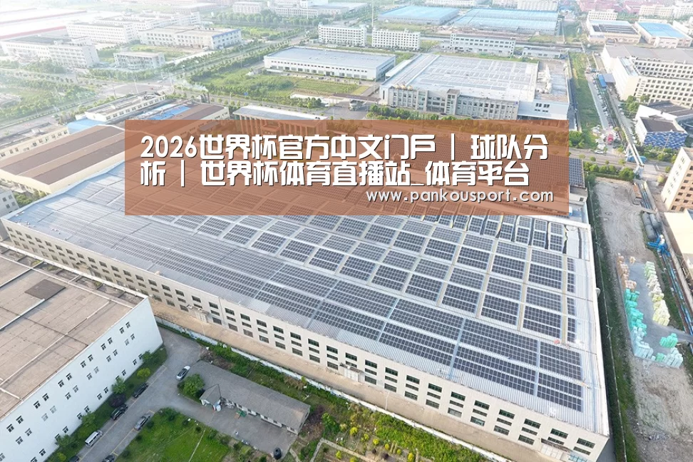 案例展示二