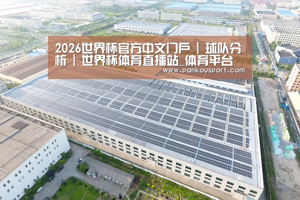 案例展示一