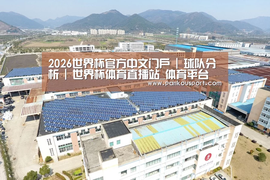 案例展示二