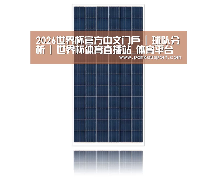 产品名称三
