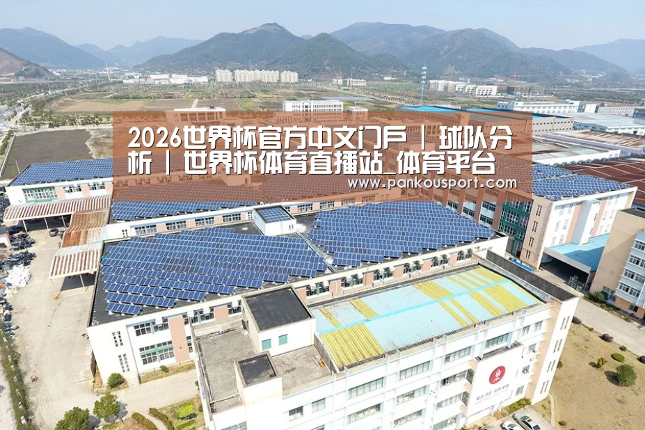 案例展示四