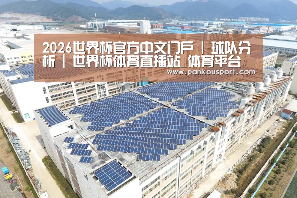案例展示四
