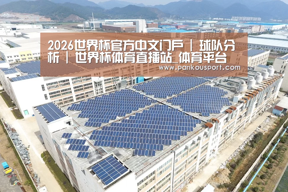 案例展示二