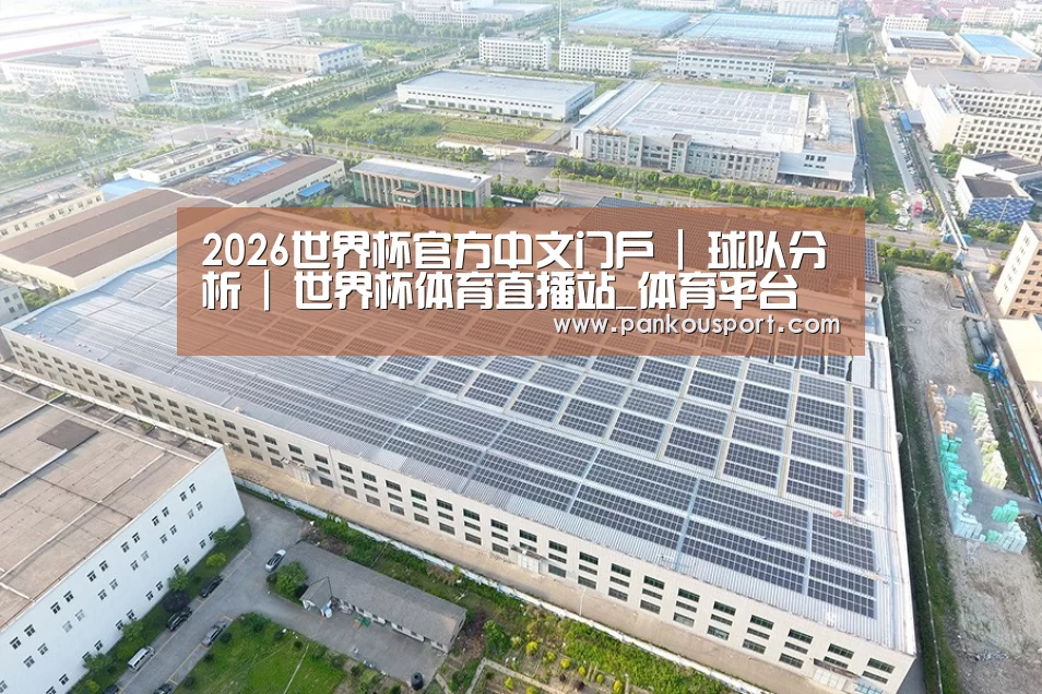 案例展示二