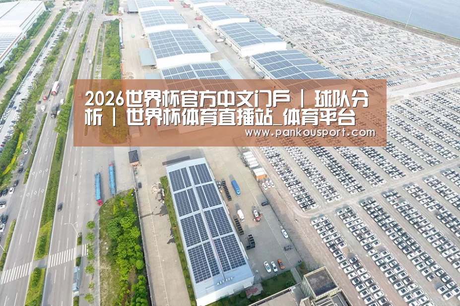 案例展示一
