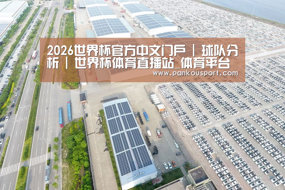 案例展示一