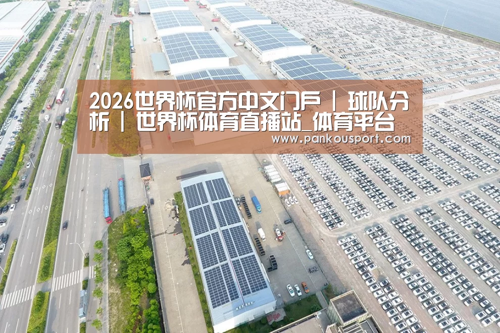 案例展示四