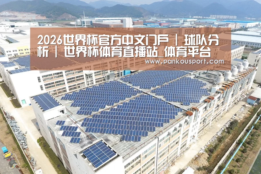 案例展示四