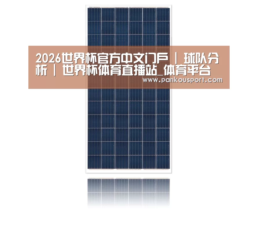 产品名称一