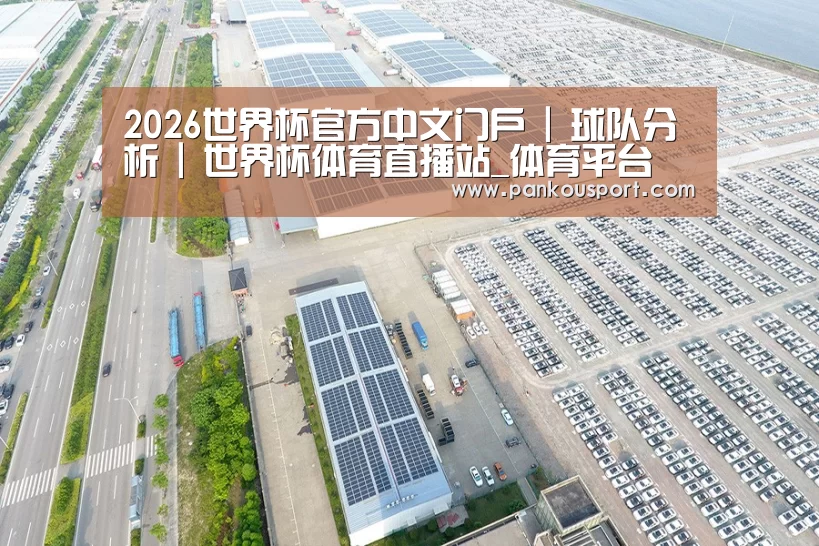 案例展示三