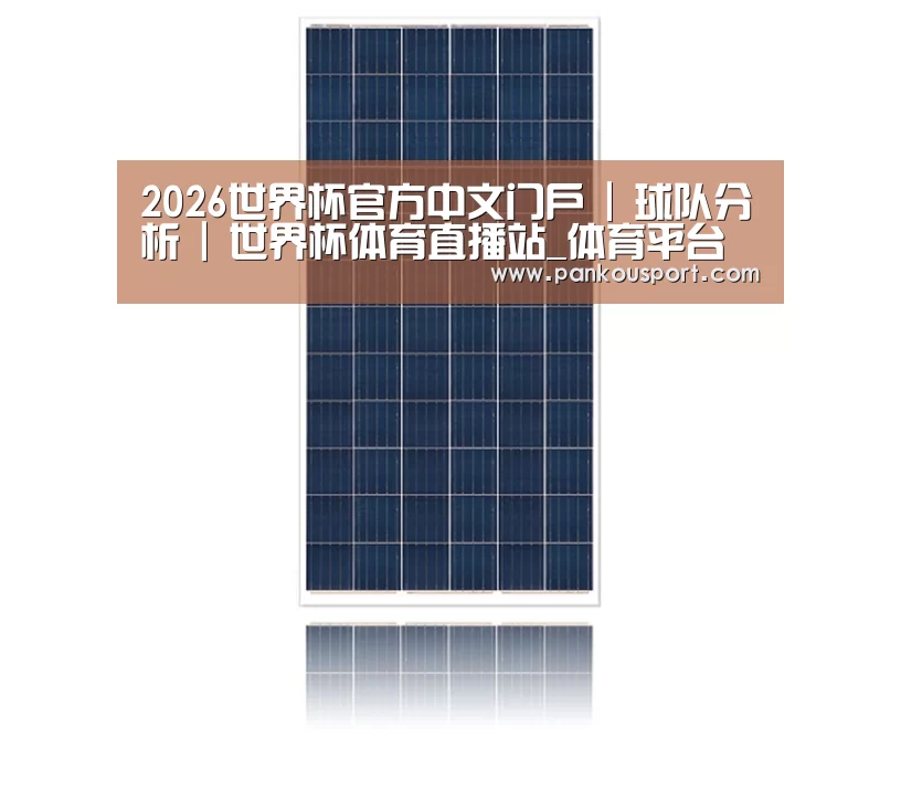 产品名称四