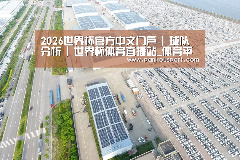 案例展示二