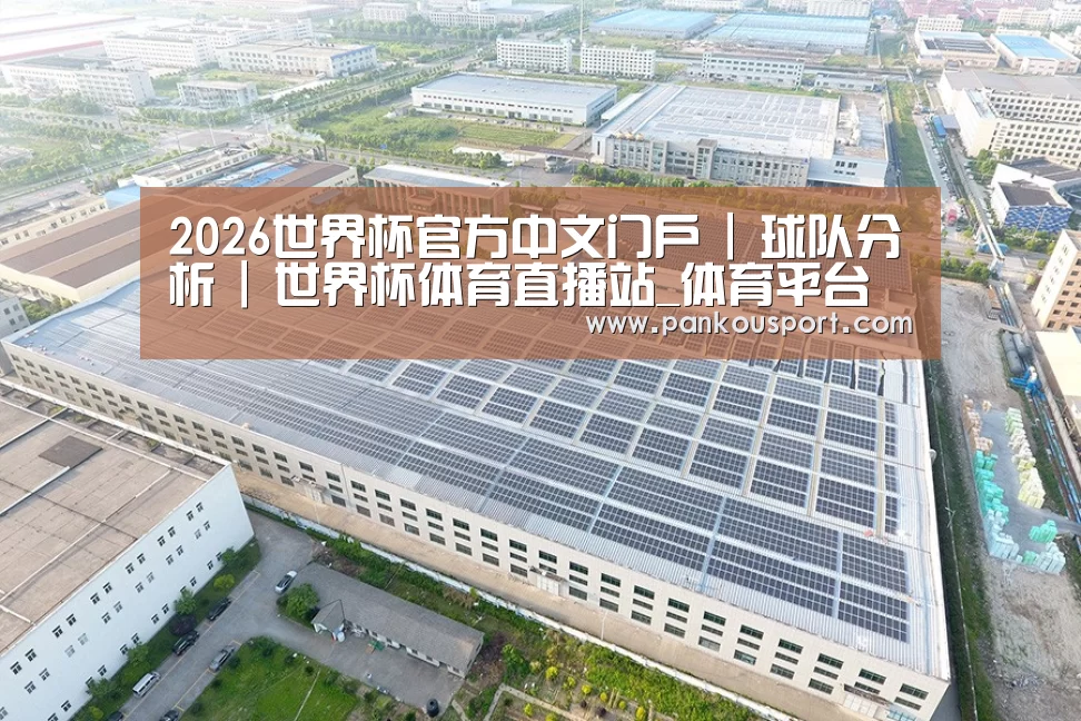 案例展示四
