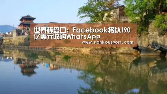 世界杯盘口:Facebook将以190亿美元收购WhatsApp(图3) 滚球数据