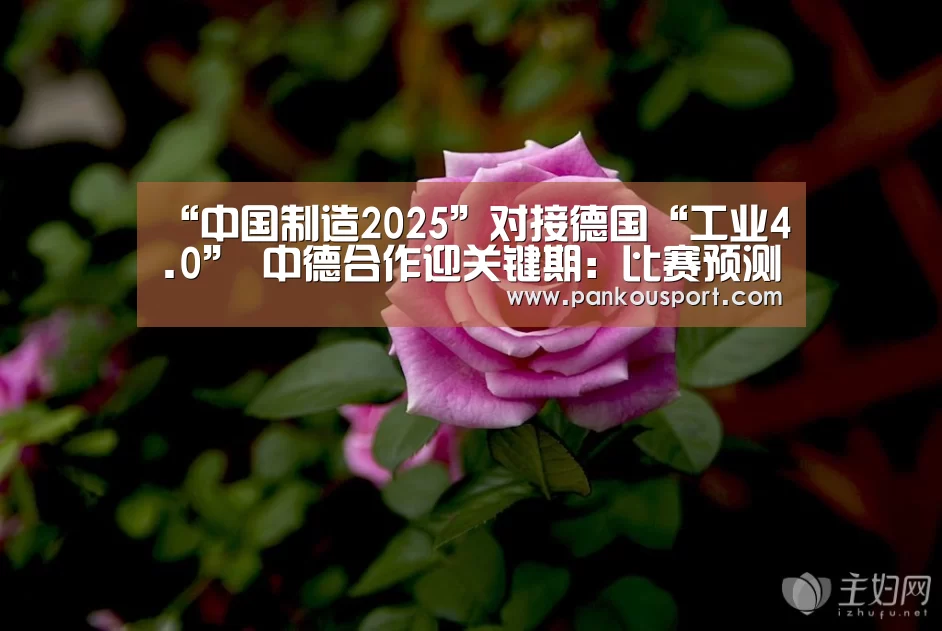 “中国制造2025”对接德国“工业4.0” 中德合作迎关键期:比赛预测(图2) 比赛预测