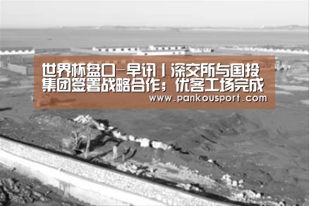 滚球数据